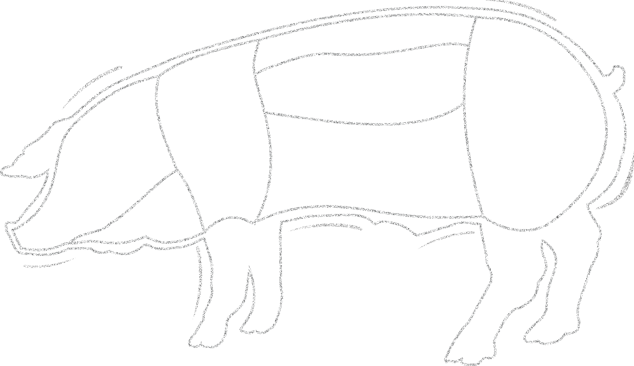 Pork Cuts Chart Pdf